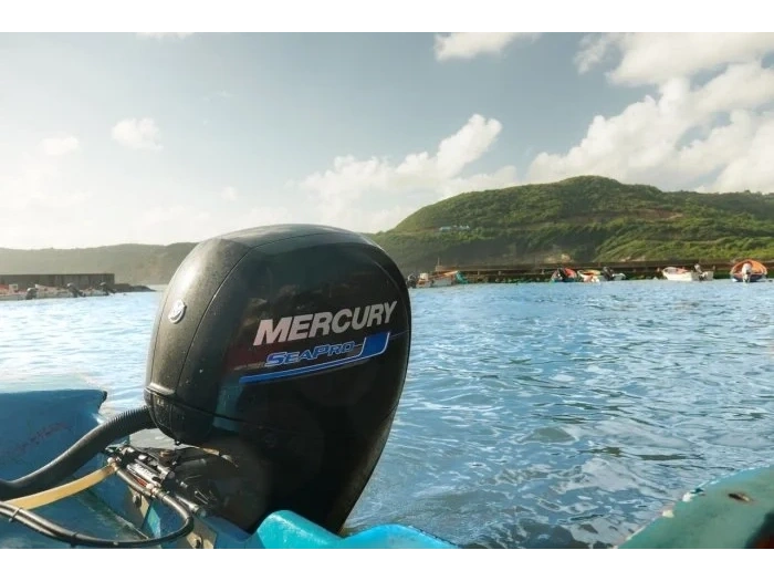 2026 Mercury Mercury - Seapro 75hp alt