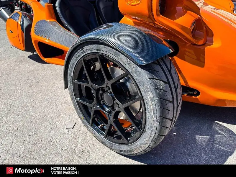 Campagna T-Rex RR 2026