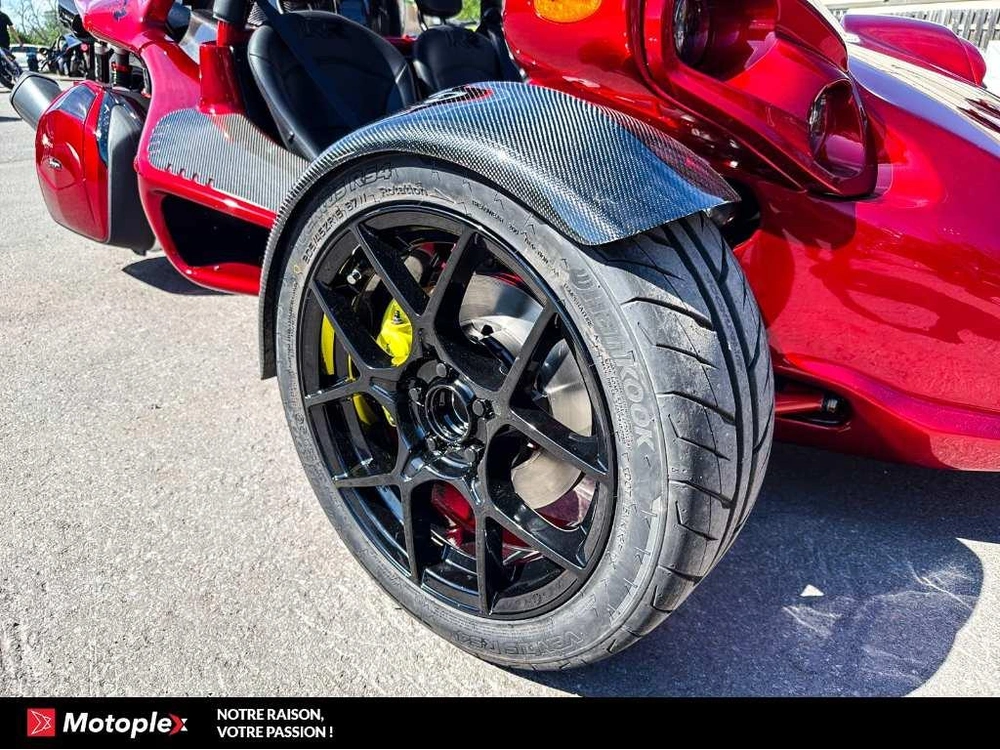 Campagna T-rex Rr 2026 alt