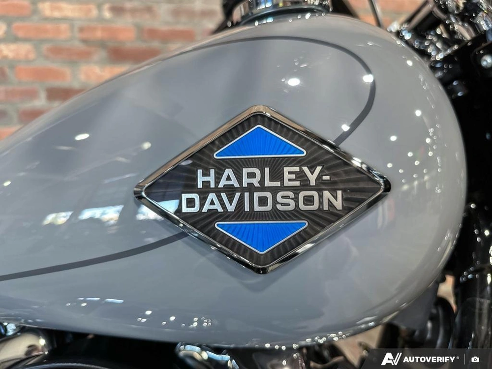 2026 Harley-davidson Heritage Classic alt