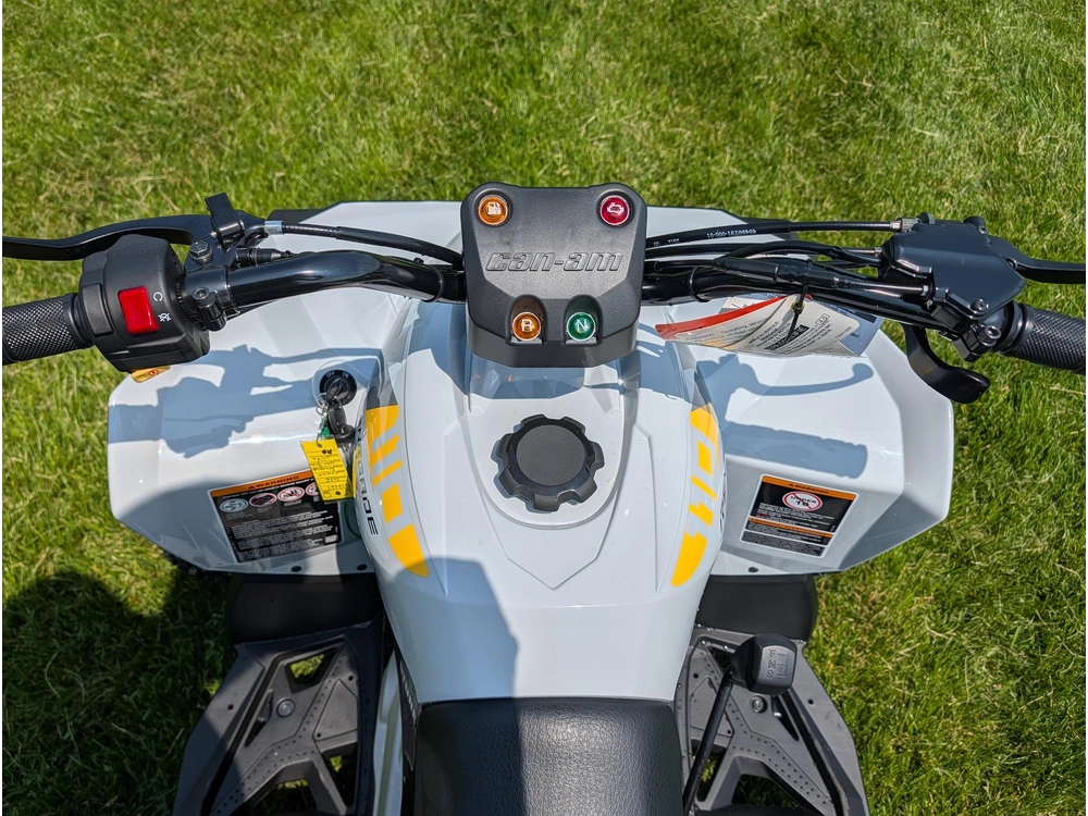 2026 Can-am Renegade 110 Efi alt