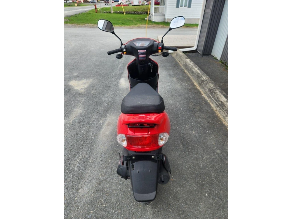 Scootterre Bistro 50 2021 alt