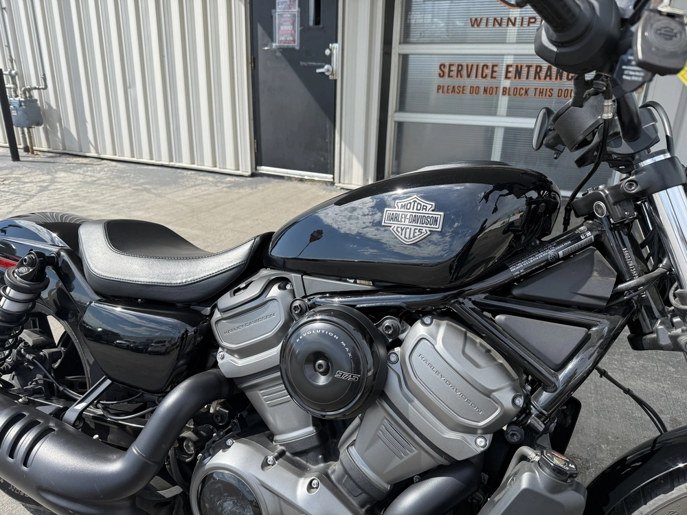 2023 Harley-davidson Rh975 - Nightster™ alt