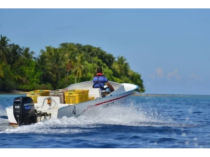 2026 Mercury Mercury - Seapro 60hp alt
