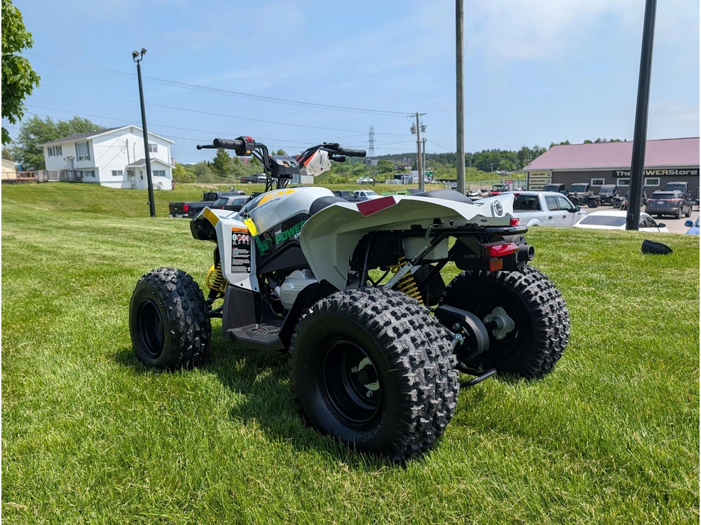 2026 Can-am Renegade 110 Efi alt