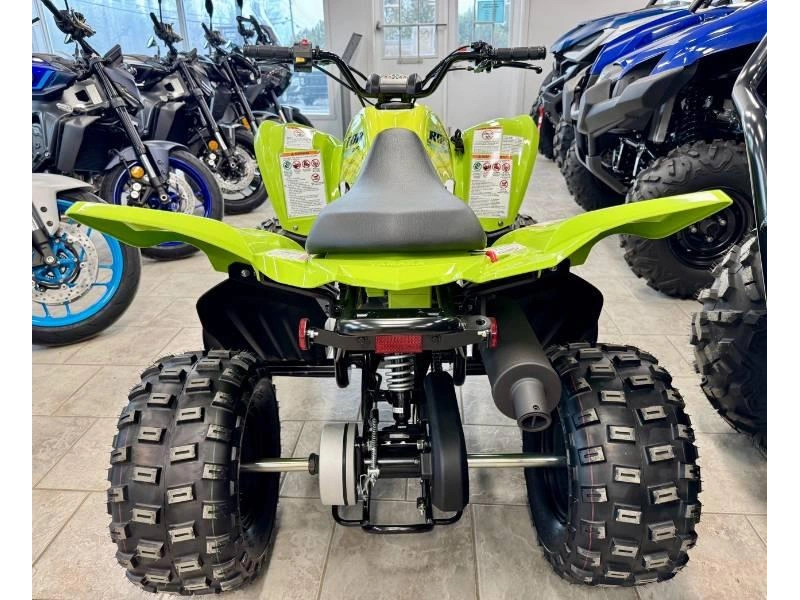 2026 Yamaha Raptor 110 alt