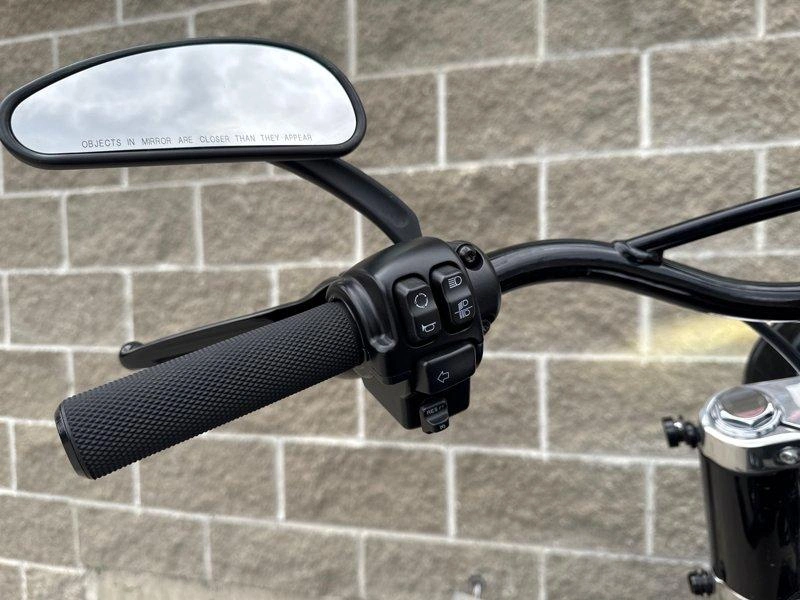 2021 Harley-davidson Flsl - Softail Slim alt