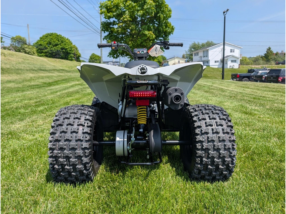 2026 Can-am Renegade 110 Efi alt