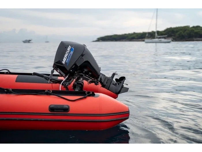 2026 Mercury Mercury - Seapro 25hp alt