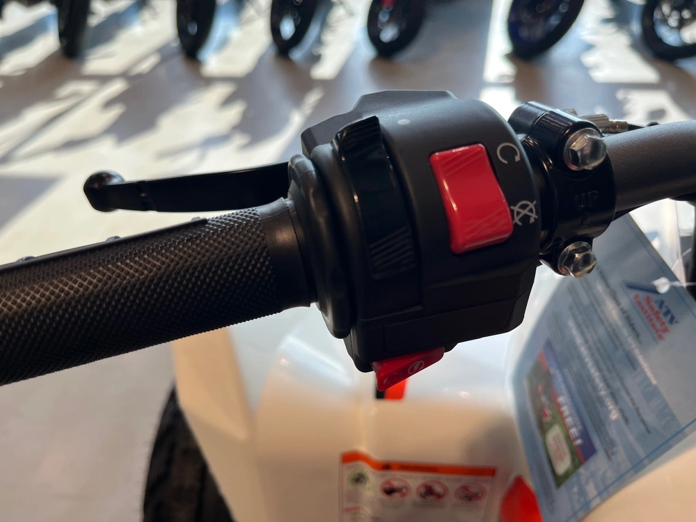 2027 Kayo Storm 300 Efi alt