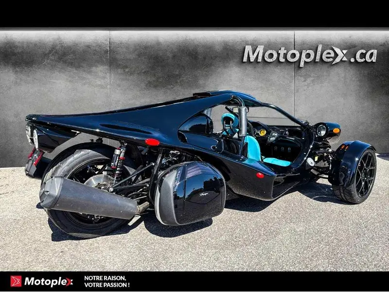 Campagna T-Rex RR 2026