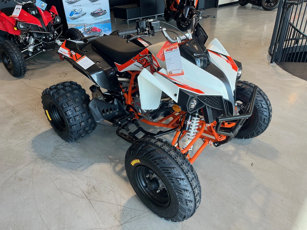 2027 Kayo Storm 300 Efi alt
