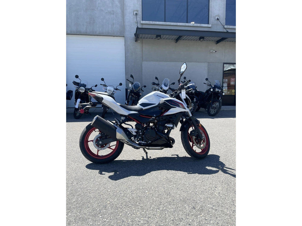 2026 Kawasaki Z500 Se Abs alt