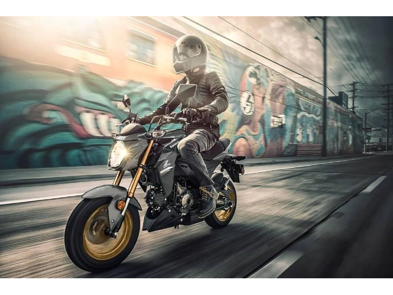 Kawasaki Z125 Pro 2024 alt