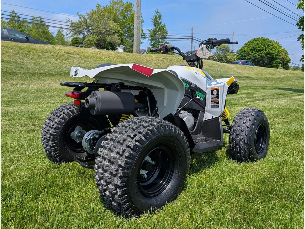 2026 Can-am Renegade 110 Efi alt