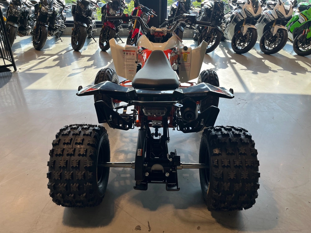 2027 Kayo Storm 300 Efi alt
