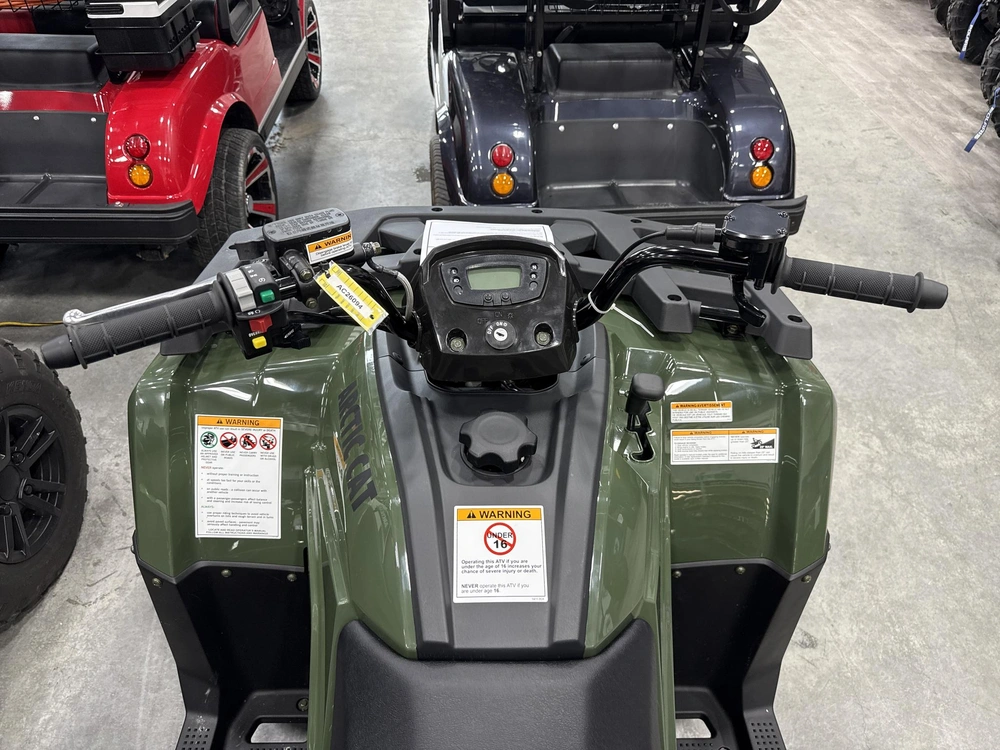 2026 Arctic Cat Alterra 300 alt