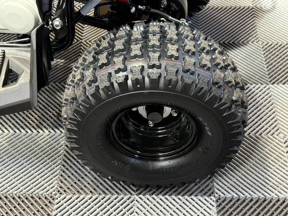 2026 Can-am Renegade 110 Efi alt