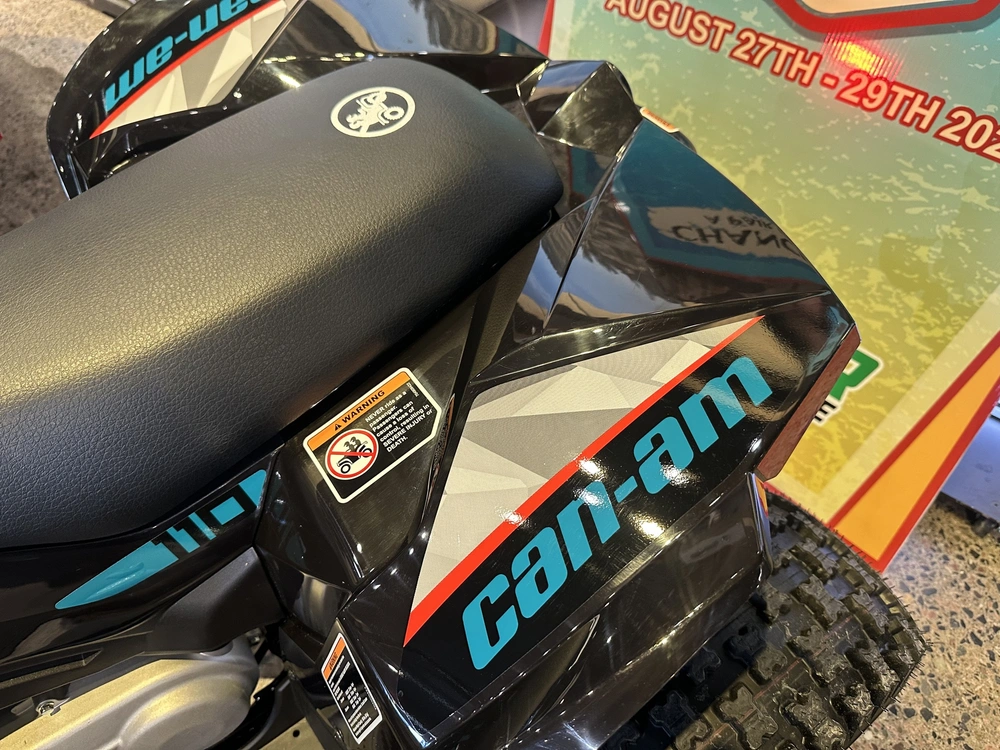 2026 Can-am Renegade 110 Efi alt