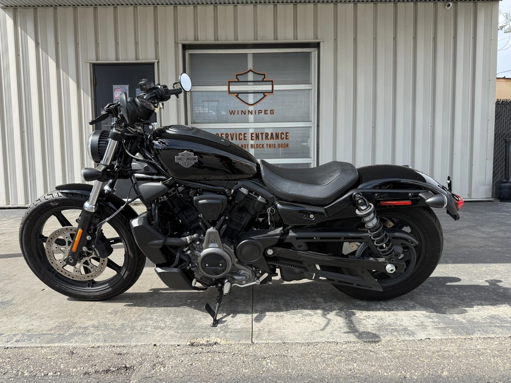 2023 Harley-davidson Rh975 - Nightster™ alt