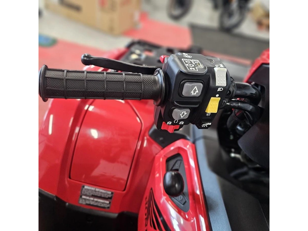 2026 Honda Fourtrax Foreman Rubicon 4x4 Automatic Dct Eps alt