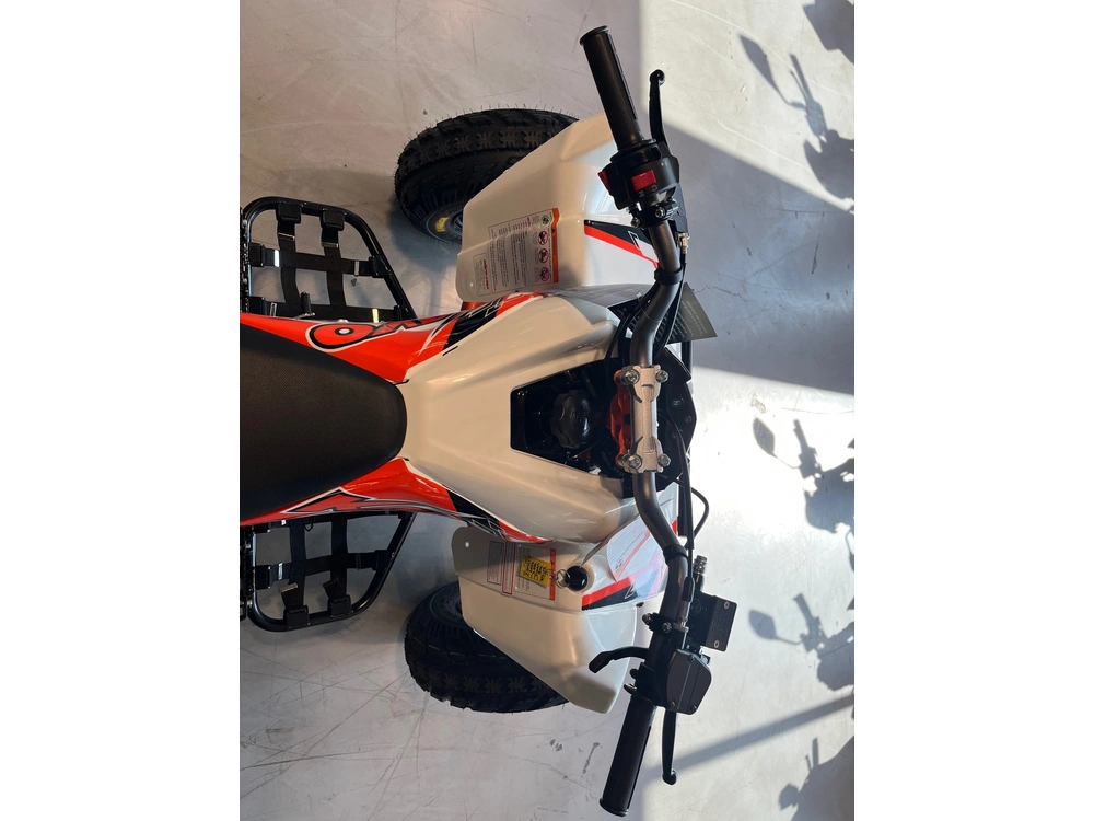 2027 Kayo Storm 300 Efi alt