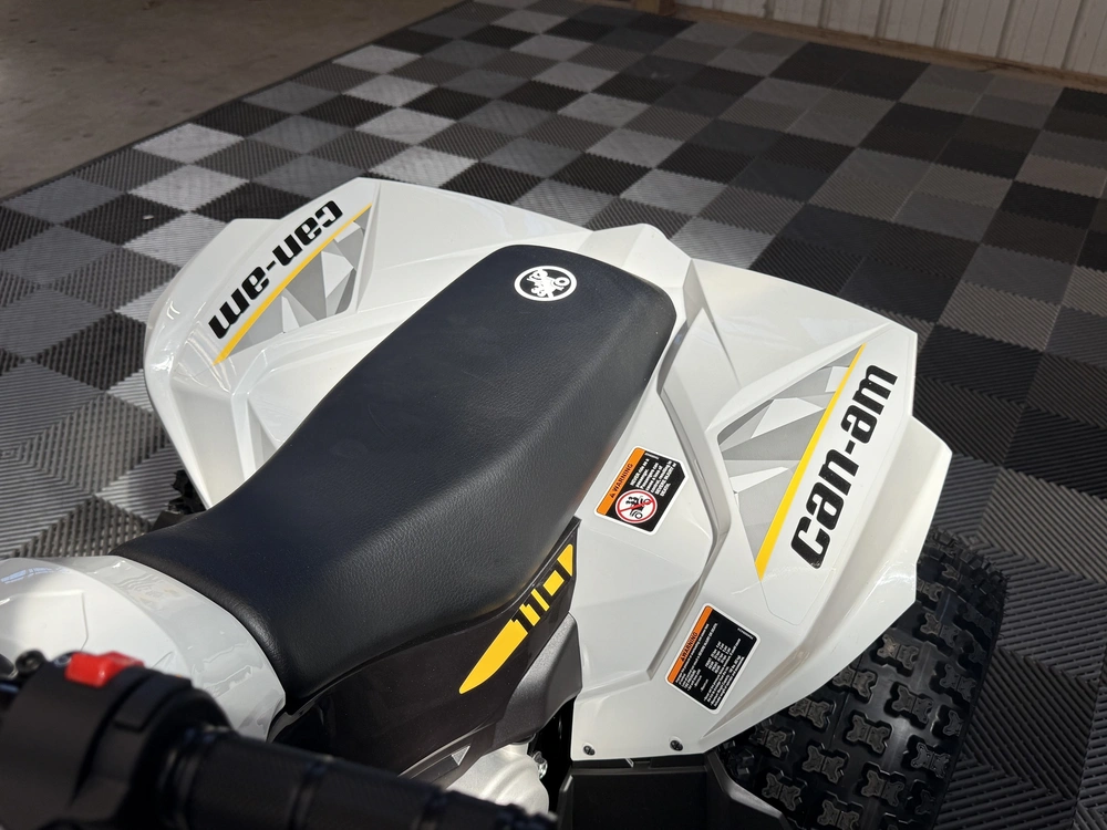 2026 Can-am Renegade 110 Efi alt