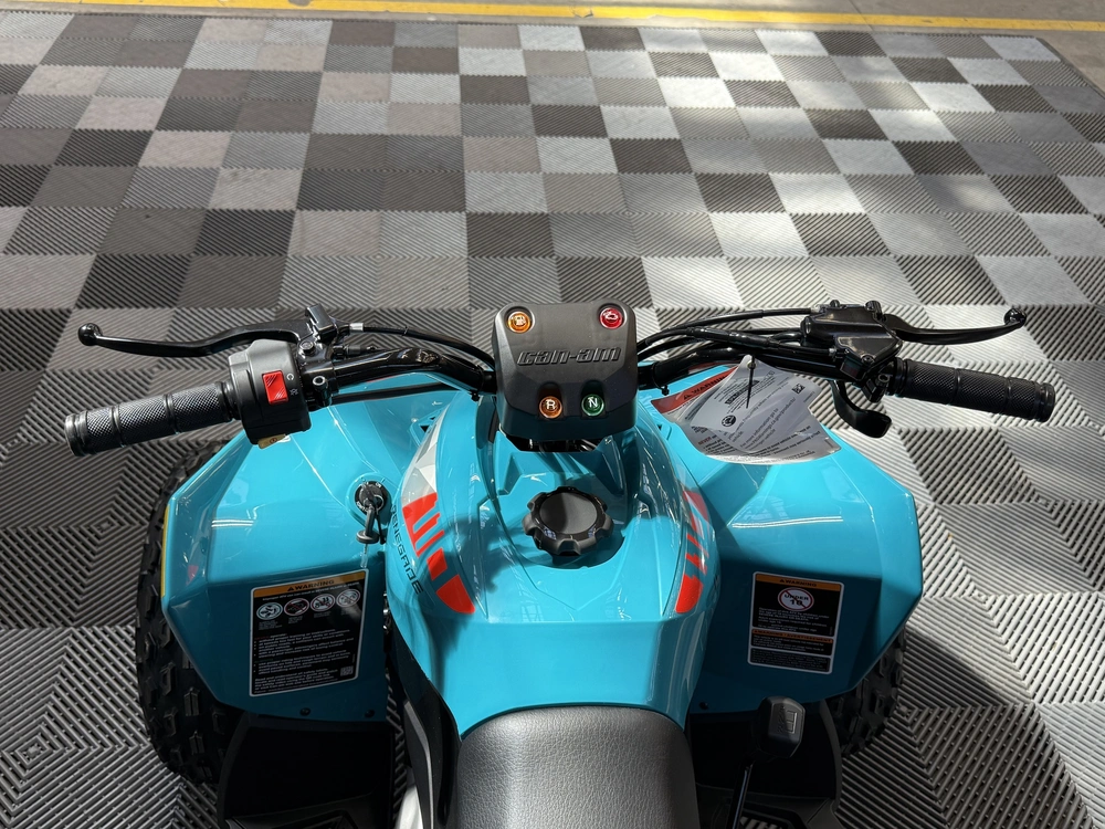 2026 Can-am Renegade 110 Efi alt