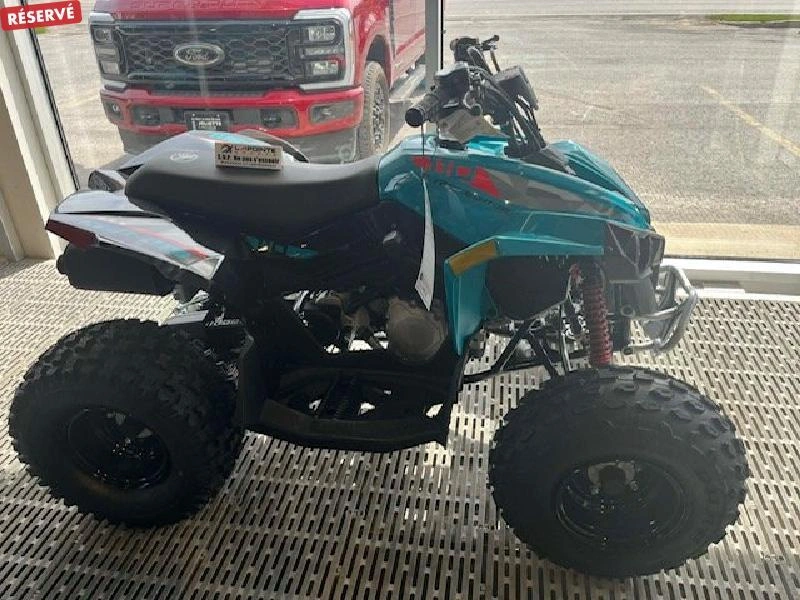 2026 Can-am Renegade 110 Efi alt