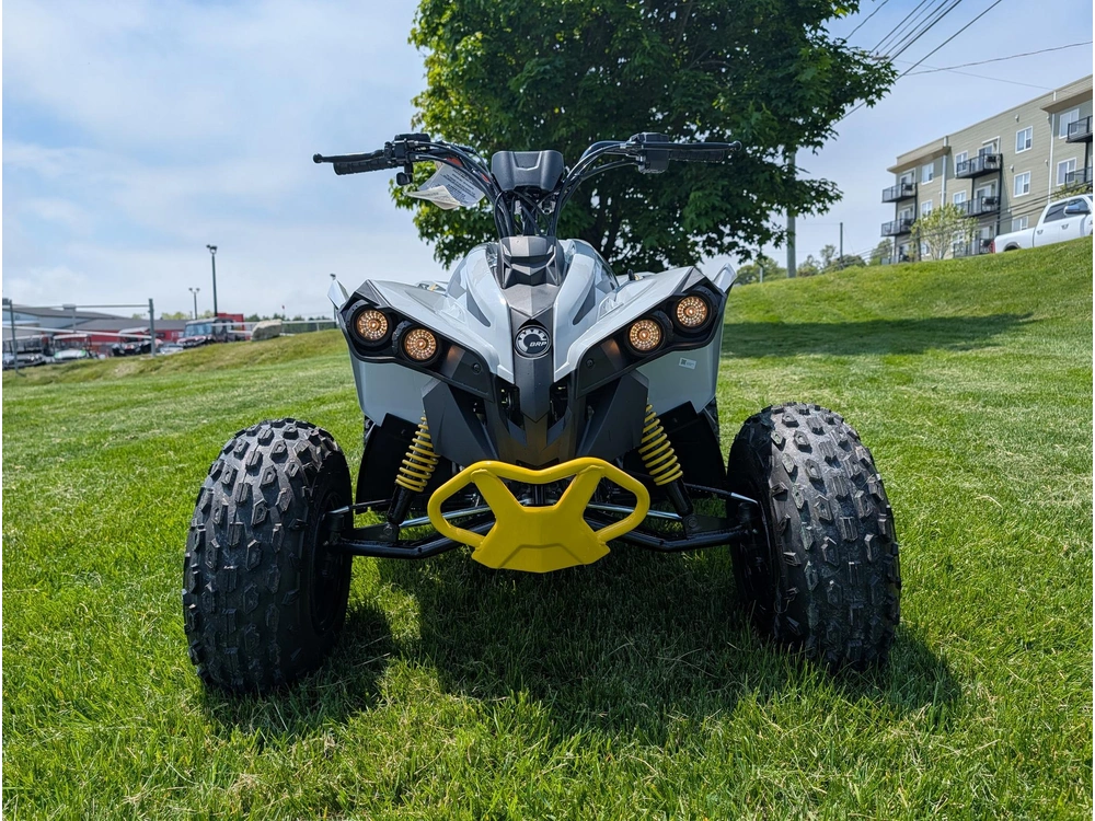 2026 Can-am Renegade 110 Efi alt