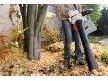 2025 Stihl Sh 56 C alt
