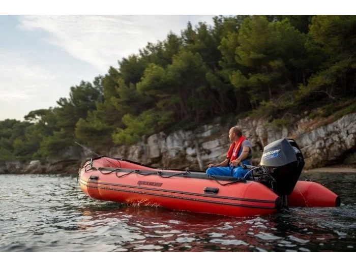 2026 Mercury Mercury - Seapro 25hp alt