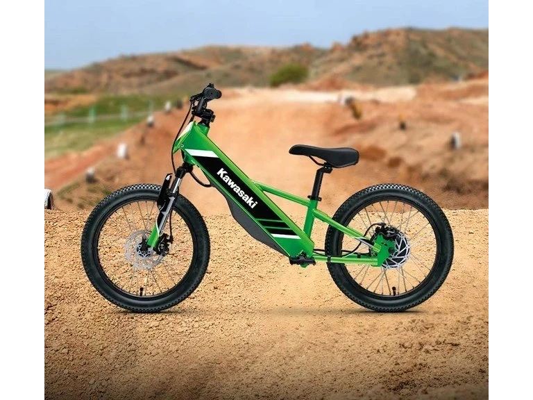2025 Kawasaki Elektrode 20 Lime Green alt