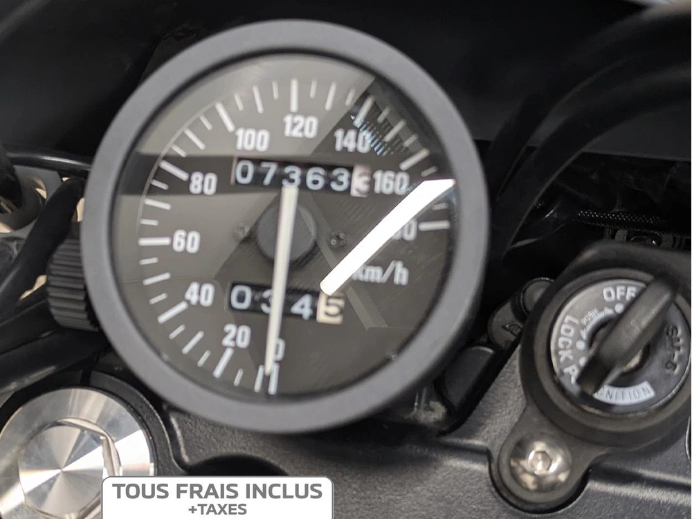 2024 Suzuki Dr650se alt