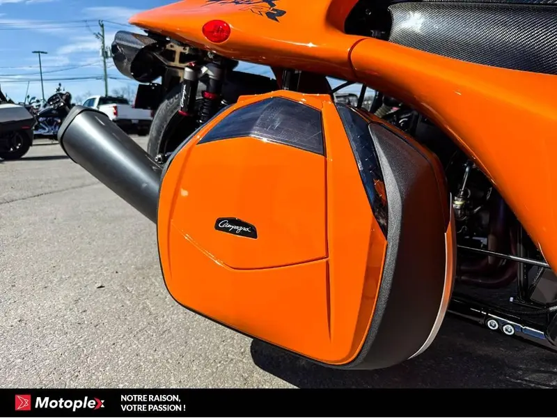 Campagna T-Rex RR 2026