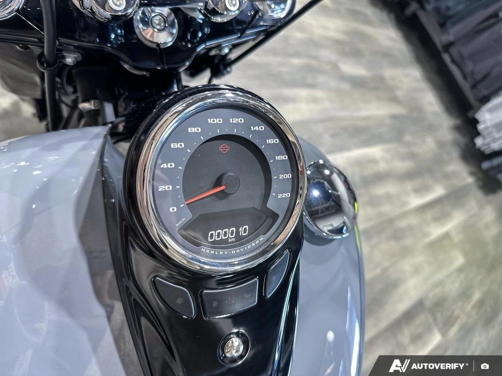 2026 Harley-davidson Heritage Classic alt