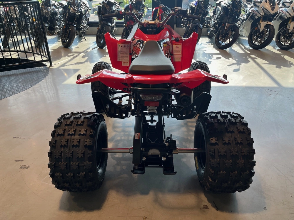 2026 Kayo Storm 300 Efi alt