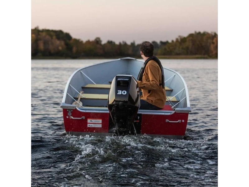 None Mercury Mercury - Fourstroke 30hp alt