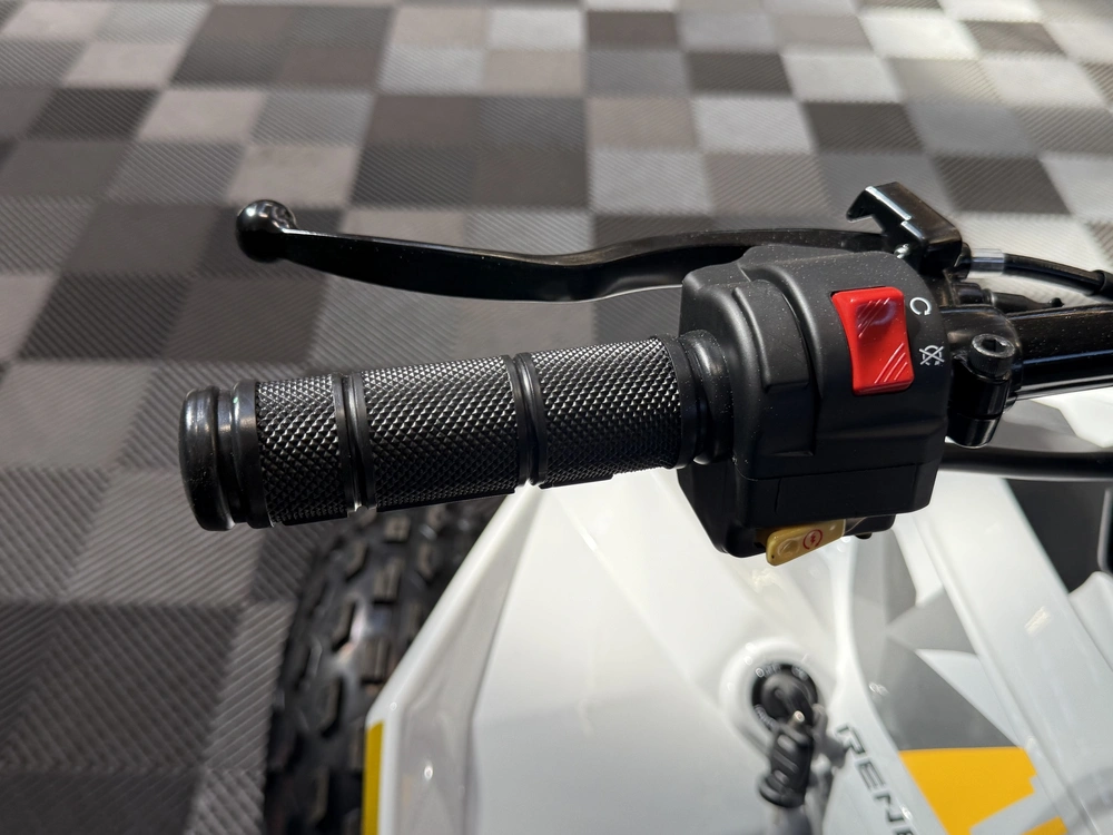 2026 Can-am Renegade 110 Efi alt