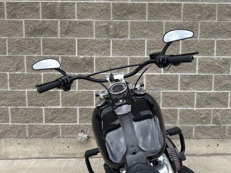 2021 Harley-davidson Flsl - Softail Slim alt