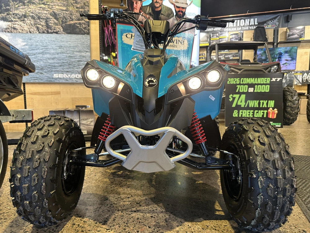 2026 Can-am Renegade 110 Efi alt