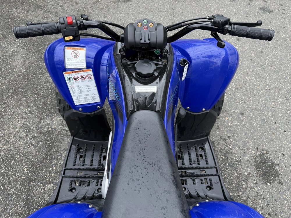 2024 Yamaha Raptor 110 alt