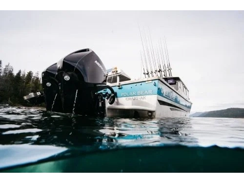 2026 Mercury Mercury - Fourstroke 225hp Phantom Black alt