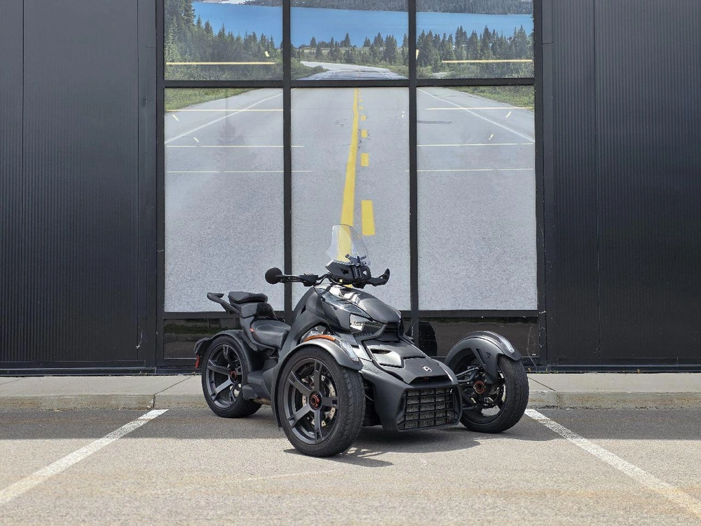 Can-am Ryker 900 Ace 2019 alt