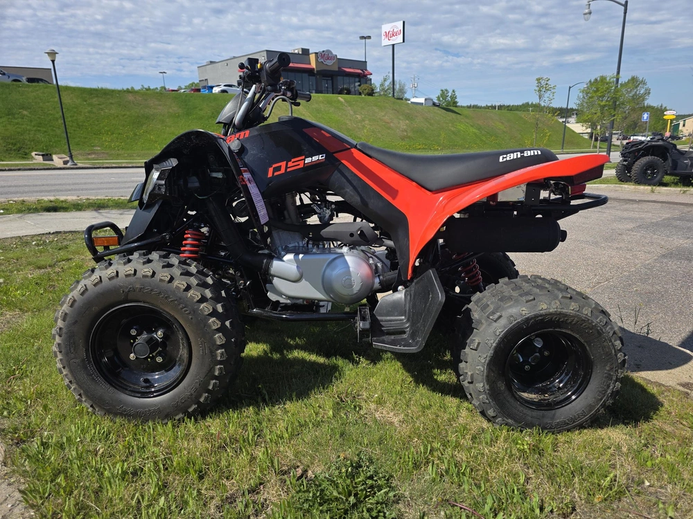 2026 Can-am Ds250 alt