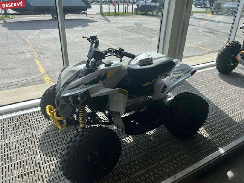 Can-am Renegade 110 Efi 2026 alt