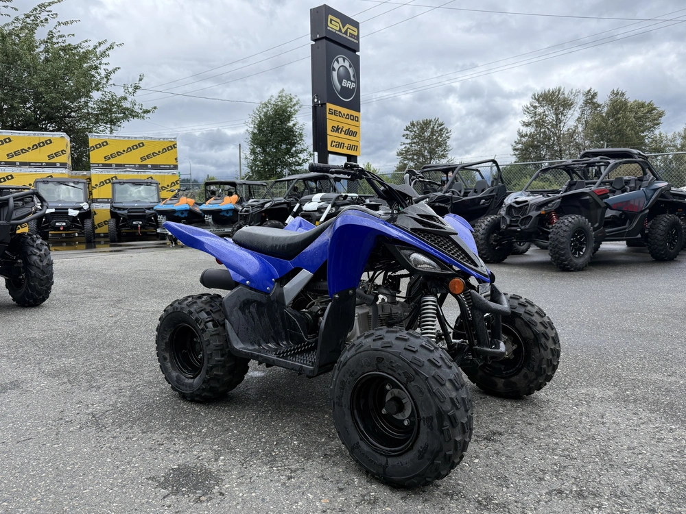 2024 Yamaha Raptor 110 alt