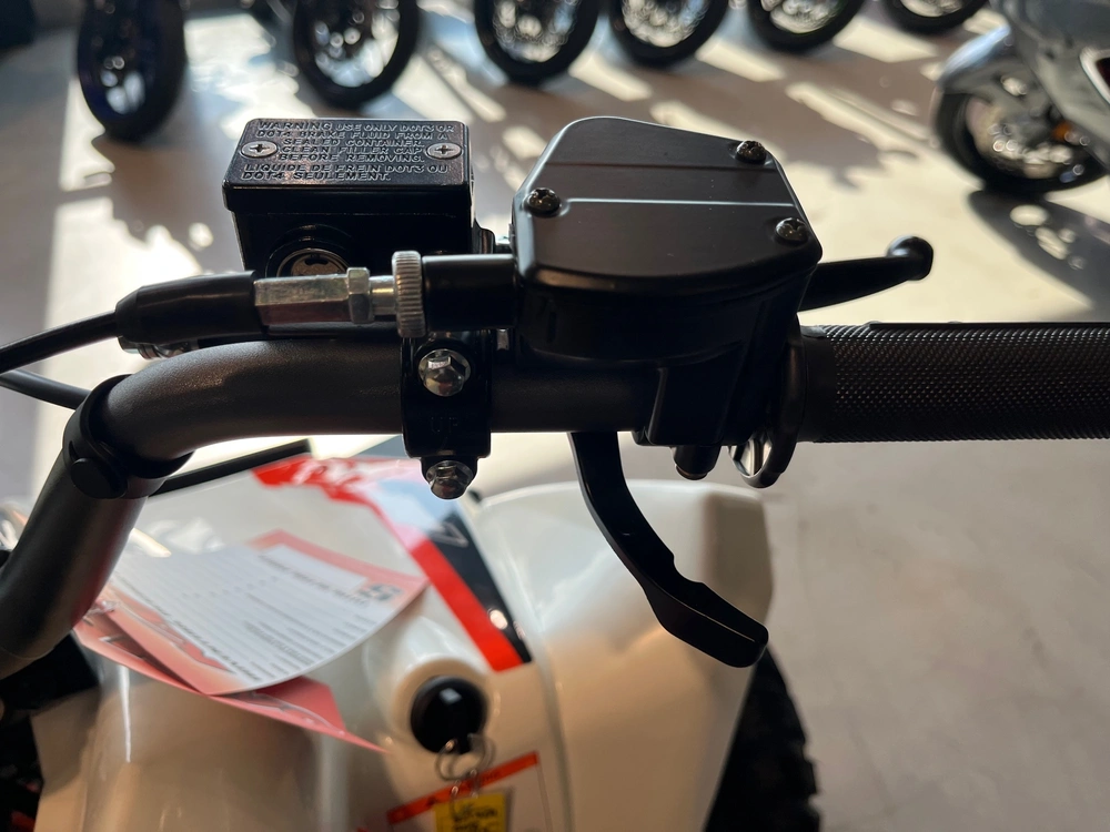 2027 Kayo Storm 300 Efi alt