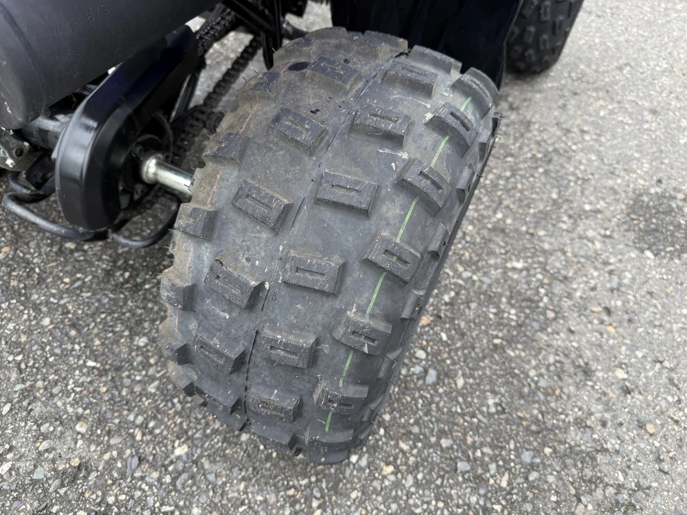 2024 Yamaha Raptor 110 alt