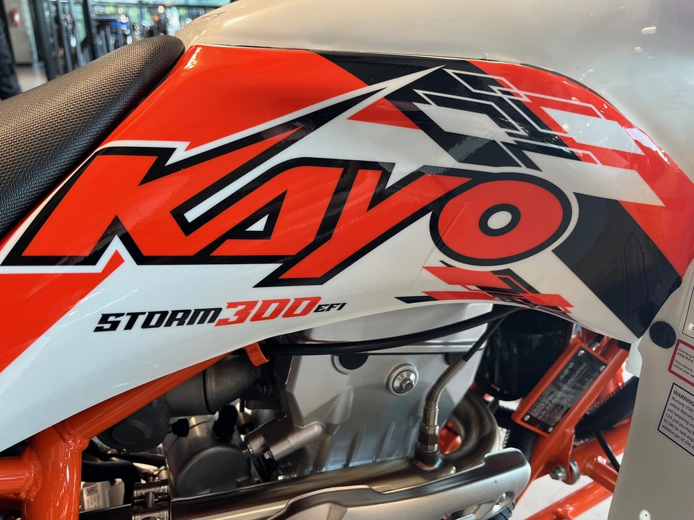 2027 Kayo Storm 300 Efi alt